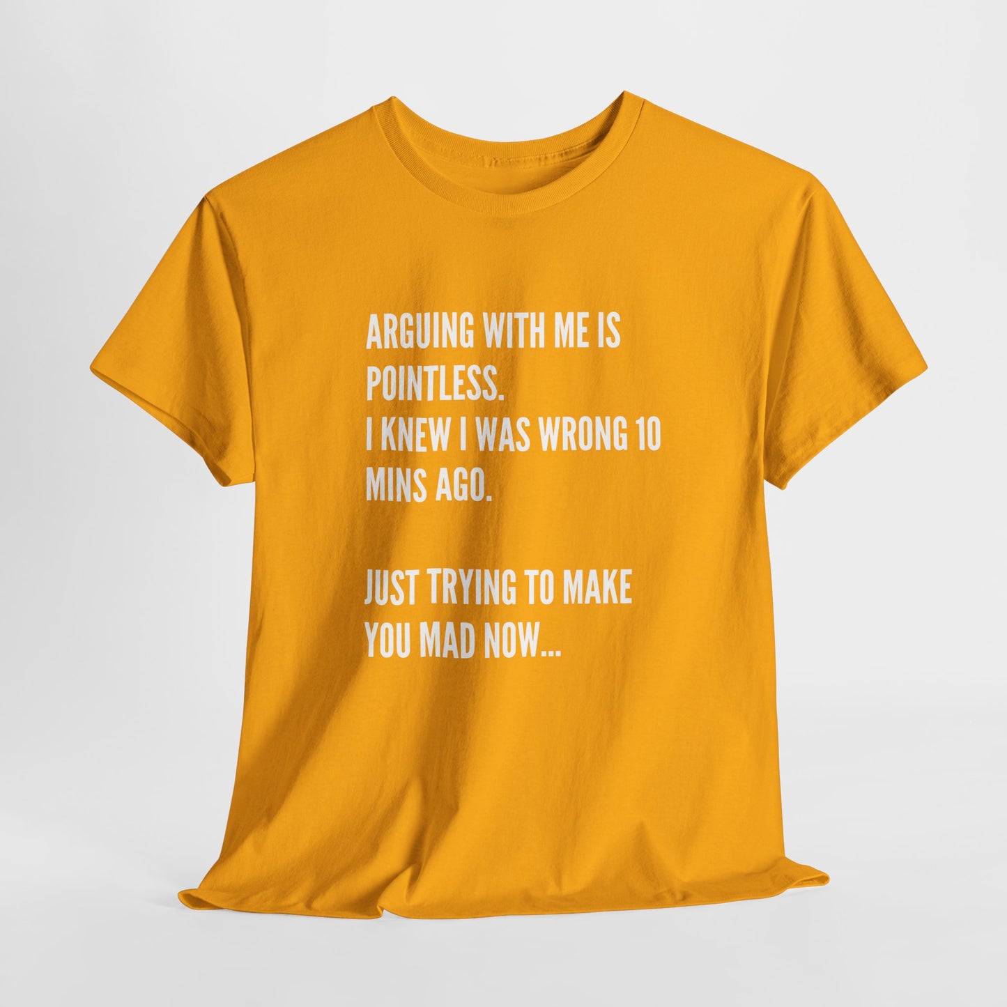 Funny Statement Tee — "Arguing With Me Is Pointless. I Knew I Was Wrong 10 Mins Ago. Just Trying To Make You Mad Now..."