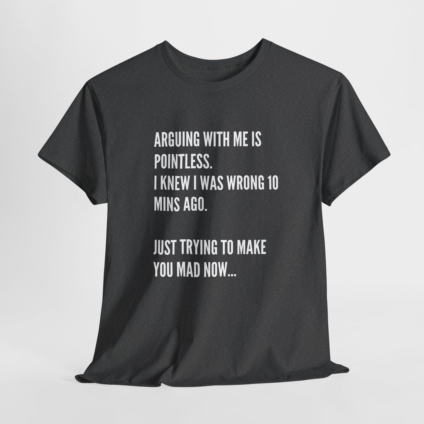 Funny Statement Tee — "Arguing With Me Is Pointless. I Knew I Was Wrong 10 Mins Ago. Just Trying To Make You Mad Now..."
